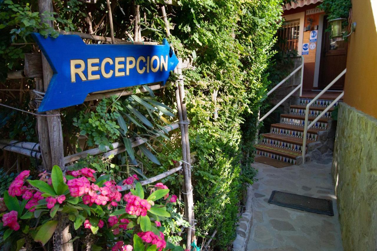 Apartamentos Turisticos Trajano Bolonia Bagian luar foto
